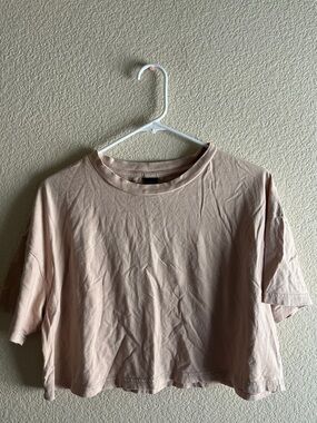 wild fable Blush Crop Tee
